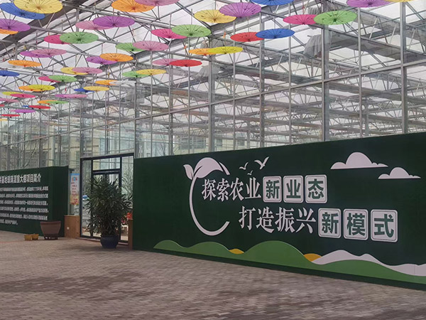新農業智能大棚建設